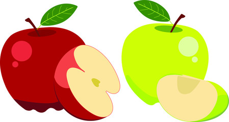 a vector of an apple.