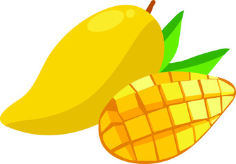 vector illustration of mango