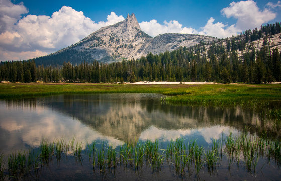 Beautiful view of mountains, Yosemite National Park © Katarina