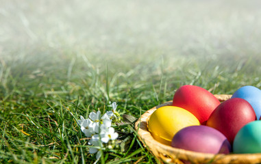 Fototapeta na wymiar Multi-colored Easter eggs in a basket on the grass with a fog effect, the background is blurred, shallow depth of field, selective focus. Easter holiday concept