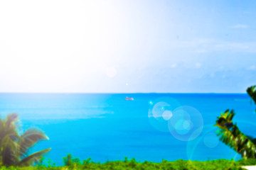 Obraz na płótnie Canvas Blurred sea landscape with palm leaves