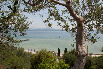 Lake Garda and Verona!