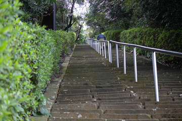 神社の急な階段を上る　手すりもある