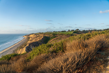 Torrey Pines