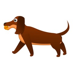 Happy dachshund icon. Cartoon of happy dachshund vector icon for web design isolated on white background