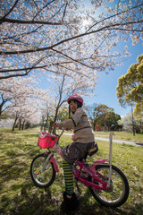 桜満開の公園で自転車を乗っている可愛い子供