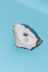 
Oyster shells with pearls on a blue pastel background. Background, texture. Luxury concept