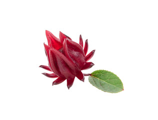 Roselle hibiscus on white background © premkh