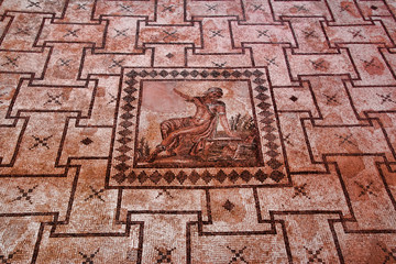 chypre