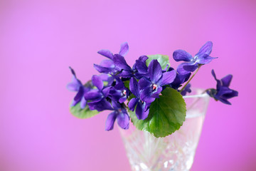 Naklejka premium Bouquet of violets flowers in a vintage crystal glass on a golden background