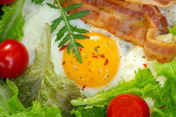 egg yolk with bacon tomato and lettuce close up macro selective focus