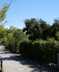 It is a photograph of EXPO 2005 Aichi Commemorative Park.
Nickname is Morikoro Park.