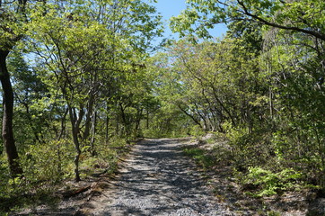 It is a photograph of EXPO 2005 Aichi Commemorative Park.
Nickname is Morikoro Park.
