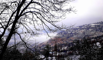 snow in the mountains