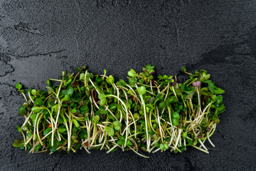 Micro greens on a black concrete background. Healthy and fresh organic food, restaurant serving concept. Top view, copy space