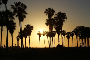 Venice Beach - Los Angeles