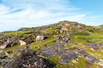 Northern polar summer in tundra. Beautiful coastline of Barents sea, Kola Peninsula, Russia