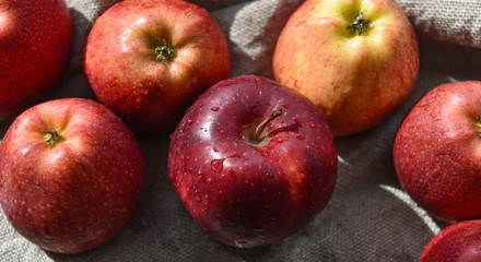 ripe red apples in water drops close up
