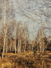 Spring season in isolated forest