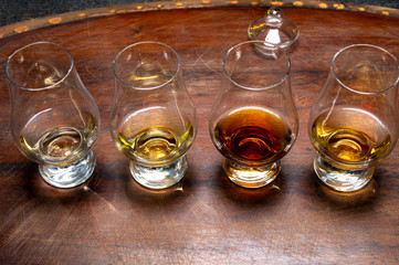 Tasting of flight of Scotch whisky from special tulip-shaped glasses on distillery in Scotland, UK