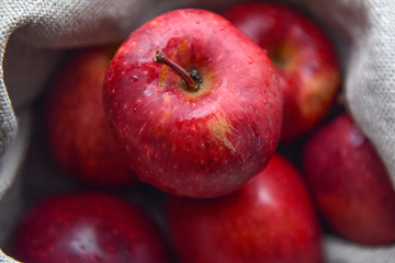 Fototapeta na wymiar ripe red apples in water drops close up