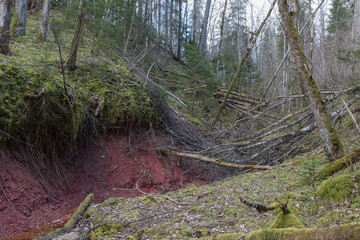 City Sigulda, Latvia. Historic clay cliffs and river. Travel photo.