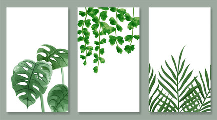 Set of botanic and wild leaves in watercolor painting. Design for frame hanging, poster, and card.