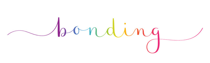 BONDING rainbow-colored vector brush calligraphy banner with swashes