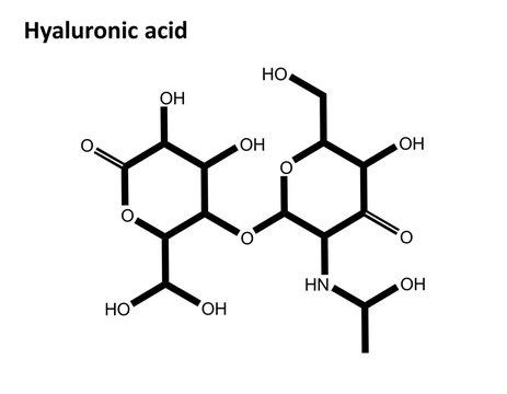Molecular structure of hyaluronic acid