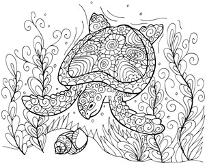 Stylized underwater turtle, seaweed and seashell isolated on white background. Perfect for adult antistress coloring page, T shirt print, zentangle design element, invitation.