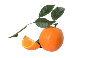 Orange on a branch with leaves Isolated on a white background