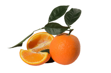 Orange on a branch with leaves Isolated on a white background