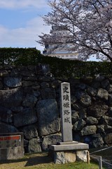 春の姫路城
