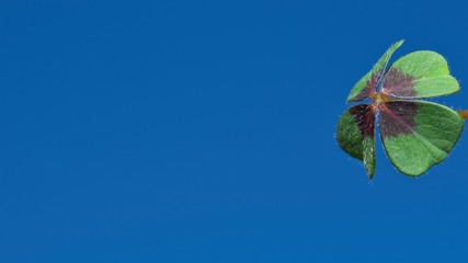 A green four-leaf clover on blue sky background, illustration of fortune, sucess, happiness
