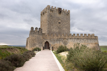 Fototapeta na wymiar Castle of Tiedra, Valladolid province, Spain