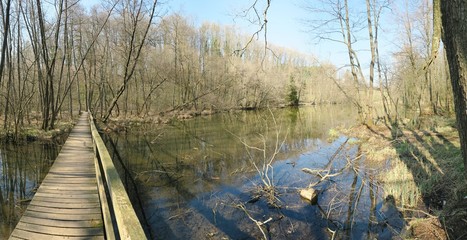 An der Weiherkette Ebersberg