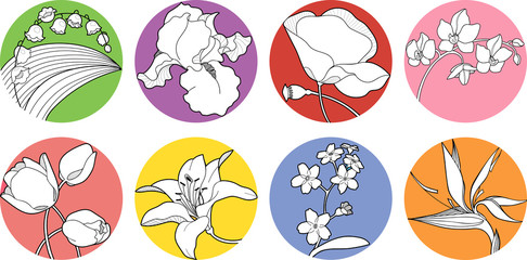 set of vector spring blossom, wildflower, iris, orchid, forget-me-not, strelitzia, may-lily, lily, poppy, tulip