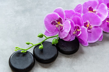 Thai Spa. Hot stones setting for massage treatment and relax on blackboard with copy space. Orchid flower with black stones pile for spa therapy. Lifestyle Healthy