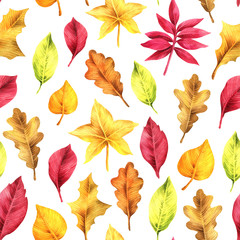 Seamless pattern with autumn leaves.