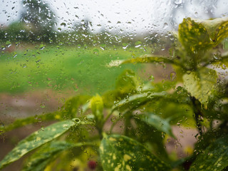 Water drops on a glass with blur landscape