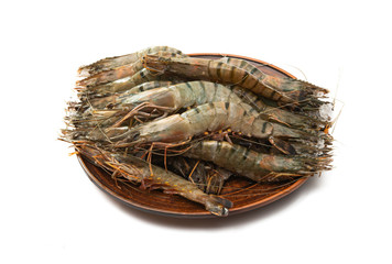 shrimp isolated