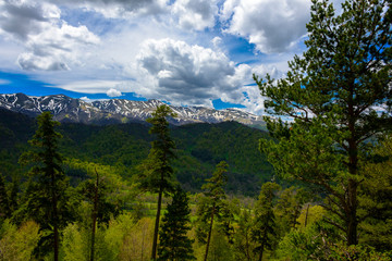 Beautiful mountain panorama with lush greens, blue skies, and puffy clouds
