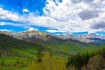 Beautiful mountain panorama with lush greens, blue skies, and puffy clouds