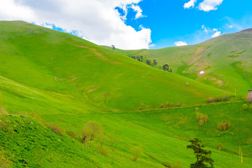 Beautiful mountain panorama with lush greens, blue skies, and puffy clouds