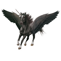 cheval, animal, en vol, volant, licorne, isolé,  noir,    étalon, mammifère, course, , galop, sauvage, chevalin, amoureux des chevaux, courir, ferme, crin, silhouette, nature, poney, dalmate, animal d