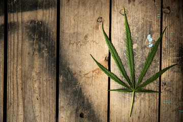One leaf of cannabis on the old wooden floor.