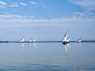 Boats with Latin sail in the albufera de Valencia, Spain