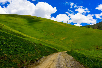Beautiful mountain panorama with lush greens, blue skies, and puffy clouds