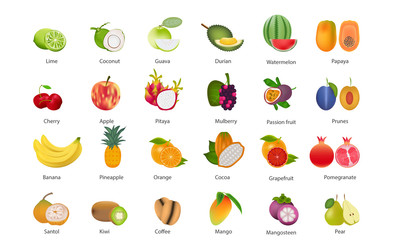 Set of fruits collection vector illustration on White Background