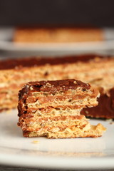 Chocolate Covered Wafer